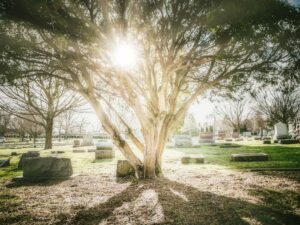 Photo cemetery